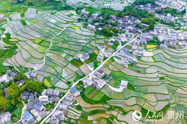 �����F��л�Ϫ�^(q��)��������������W(w��ng)ӛ�� Ϳ���z